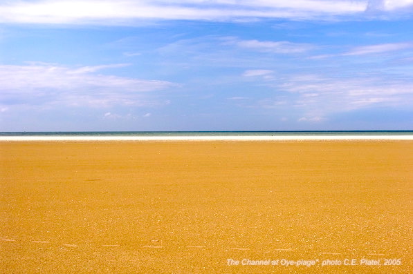 The Channel at Oye-Plage - photo C-E Platel 2006