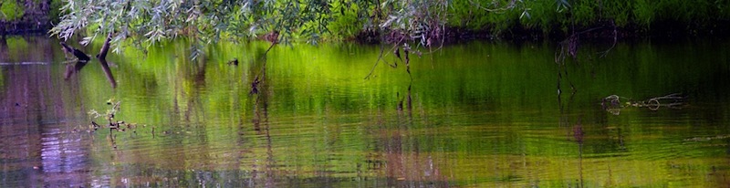 L'Allier à Embraud - Photo CE Platel