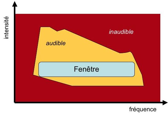 fenetre2